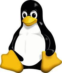 Node.js